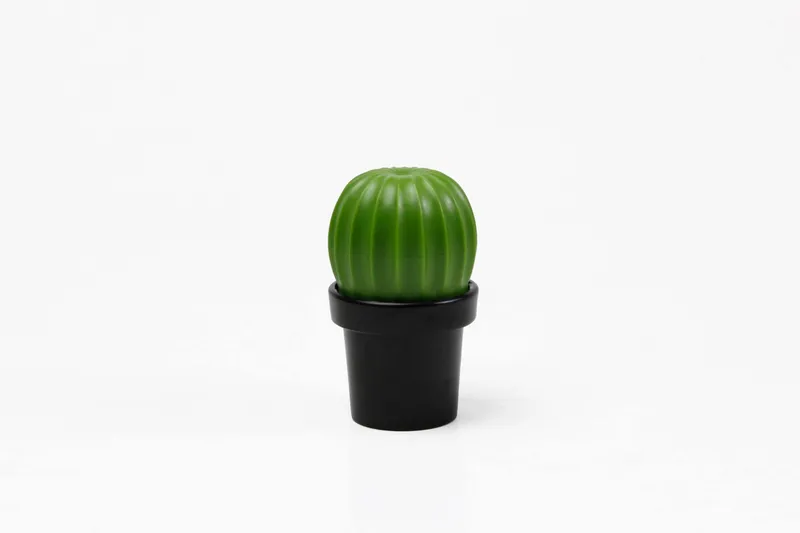 МЕЛЬНИЦА ДЛЯ СПЕЦИЙ Tasty Cactus